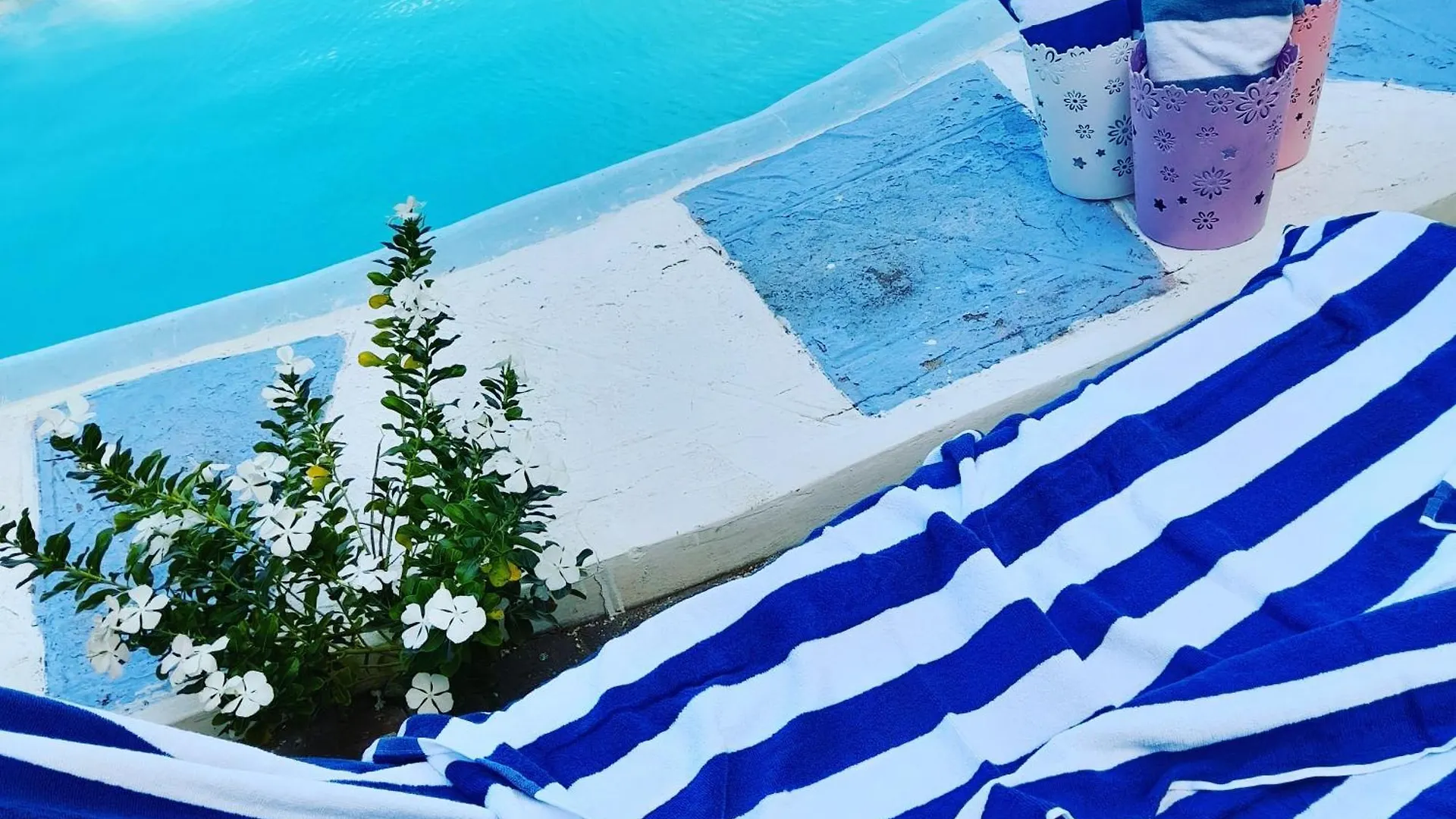 Jamaica Villa Sweetsop & Tours Montego Bay Jamaica